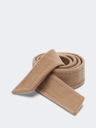 101801 curea, camel